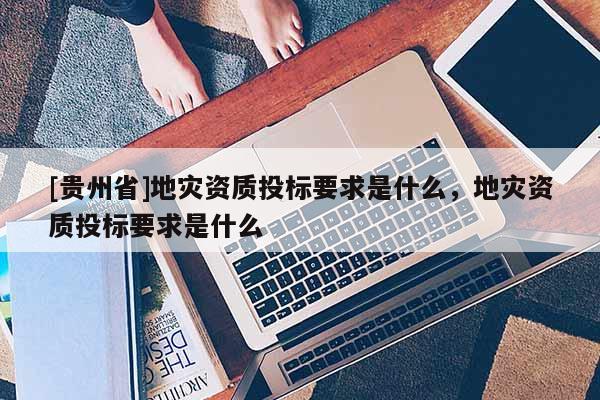 [贵州省]地灾资质投标要求是什么，地灾资质投标要求是什么