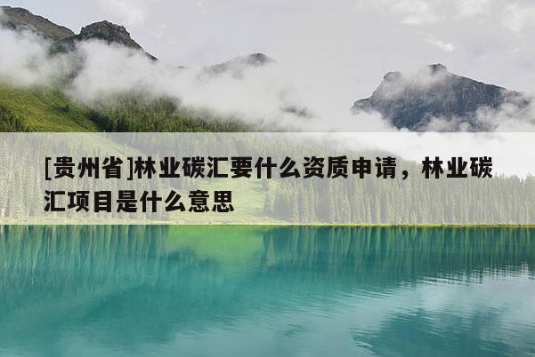 [贵州省]林业碳汇要什么资质申请，林业碳汇项目是什么意思