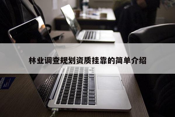 林业调查规划资质挂靠的简单介绍