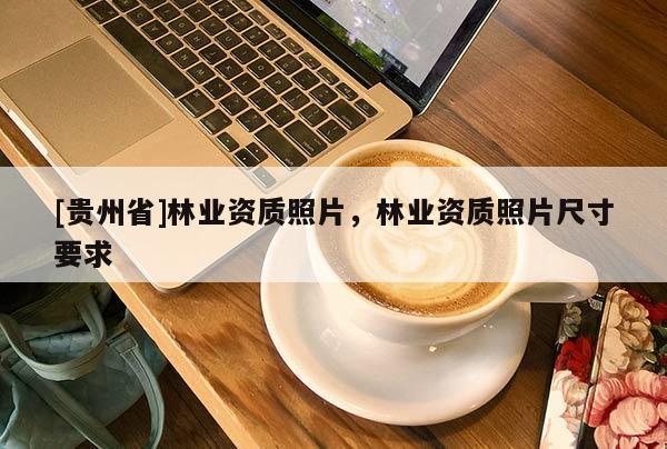 [贵州省]林业资质照片，林业资质照片尺寸要求
