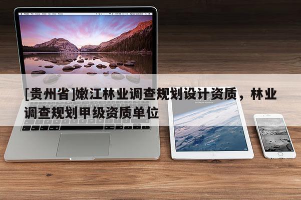 [贵州省]嫩江林业调查规划设计资质，林业调查规划甲级资质单位