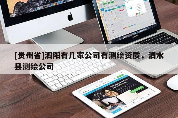 [贵州省]泗阳有几家公司有测绘资质，泗水县测绘公司