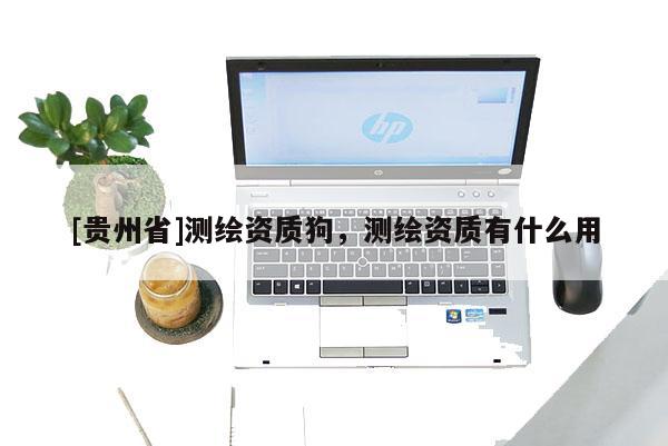 [贵州省]测绘资质狗，测绘资质有什么用