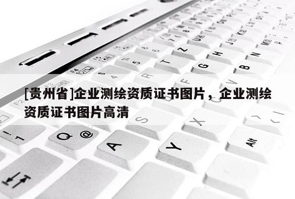 [贵州省]企业测绘资质证书图片，企业测绘资质证书图片高清