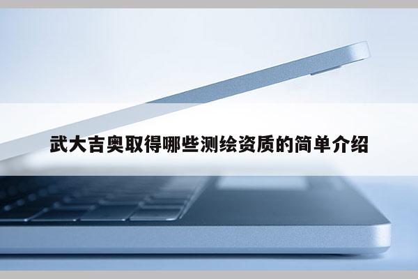武大吉奥取得哪些测绘资质的简单介绍