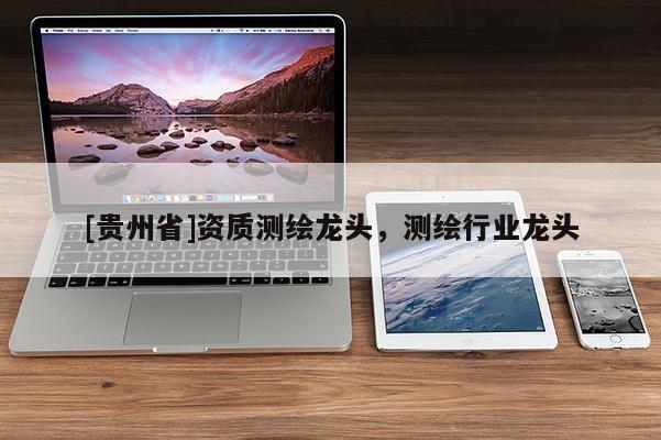 [贵州省]资质测绘龙头，测绘行业龙头