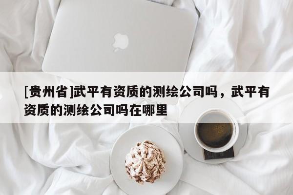 [贵州省]武平有资质的测绘公司吗，武平有资质的测绘公司吗在哪里