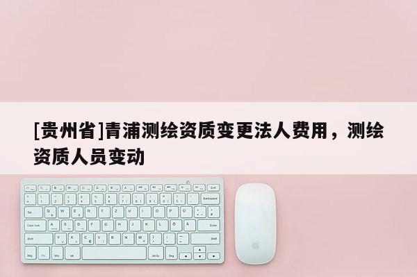 [贵州省]青浦测绘资质变更法人费用，测绘资质人员变动
