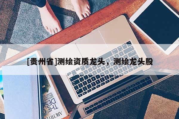 [贵州省]测绘资质龙头，测绘龙头股