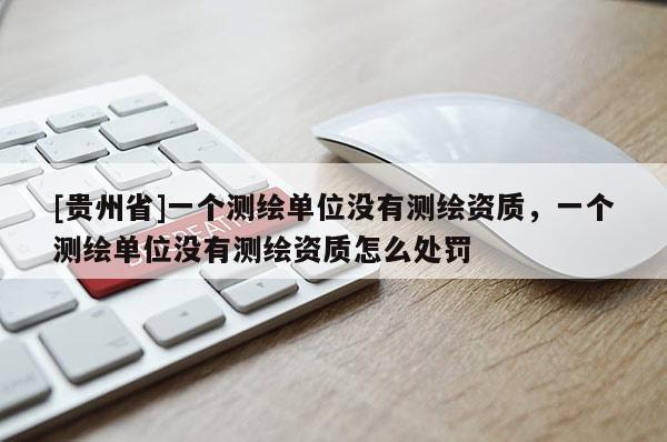 [贵州省]一个测绘单位没有测绘资质，一个测绘单位没有测绘资质怎么处罚