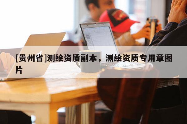 [贵州省]测绘资质副本，测绘资质专用章图片