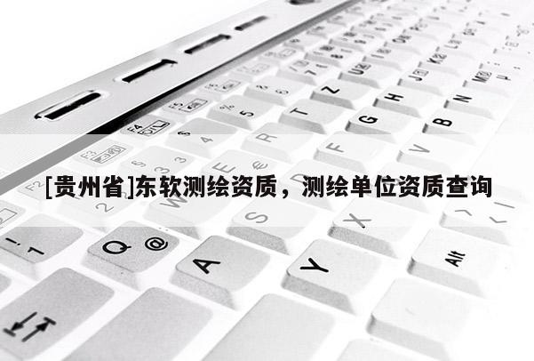 [贵州省]东软测绘资质，测绘单位资质查询