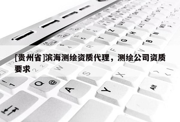 [贵州省]滨海测绘资质代理，测绘公司资质要求