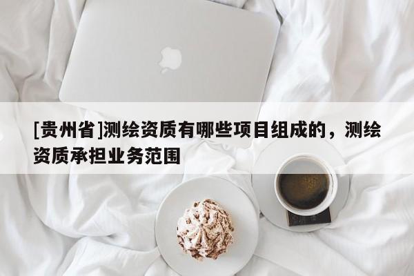 [贵州省]测绘资质有哪些项目组成的，测绘资质承担业务范围