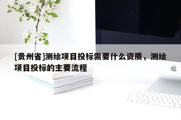 [贵州省]测绘项目投标需要什么资质，测绘项目投标的主要流程