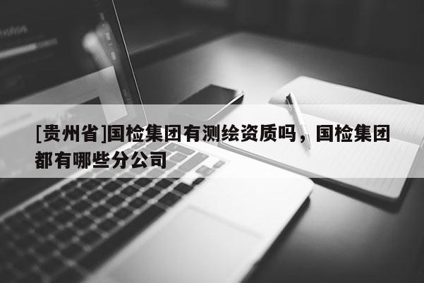 [贵州省]国检集团有测绘资质吗，国检集团都有哪些分公司