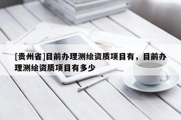 [贵州省]目前办理测绘资质项目有，目前办理测绘资质项目有多少